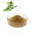 Import 100% Pure Natural bacopa monnieri extract powder,The main benifits of Bacopa Extract from China