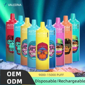 Valedna 9000 Puffs Vapes Factory 0% 2% 5% Nice Disposable Vape Device Wholesale Disposable Vaporizer Big Puff