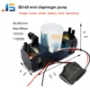 DC Dual Brushless Micro Motor Small Air/Gas Pumps 24 V Diaphragm Vacuum bull Pump