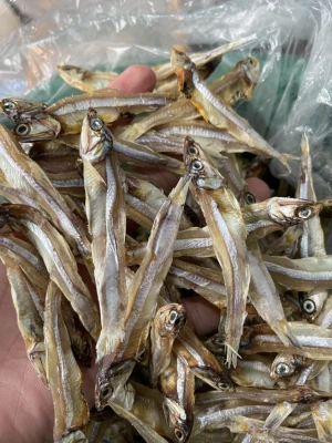 Grade A Quality Dry Anchovy Fish