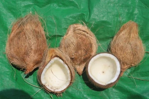 Semi-husked coconut