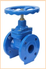 gate valve