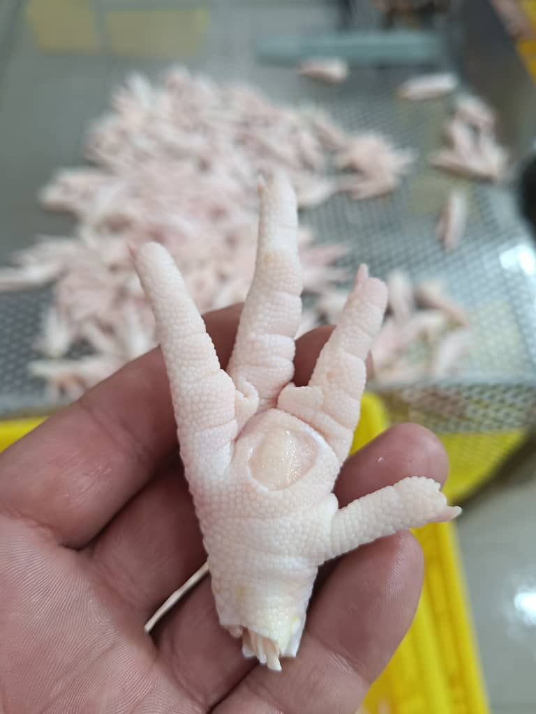 Buy Chicken Feet chicken Paw From Yiwu Safir Co Ltd China 