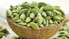 Buy Cardamom Online from a Trusted International Supplier