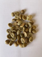 Green Coffee Beans - Fully Washed (color Sorter) Robusta S18
