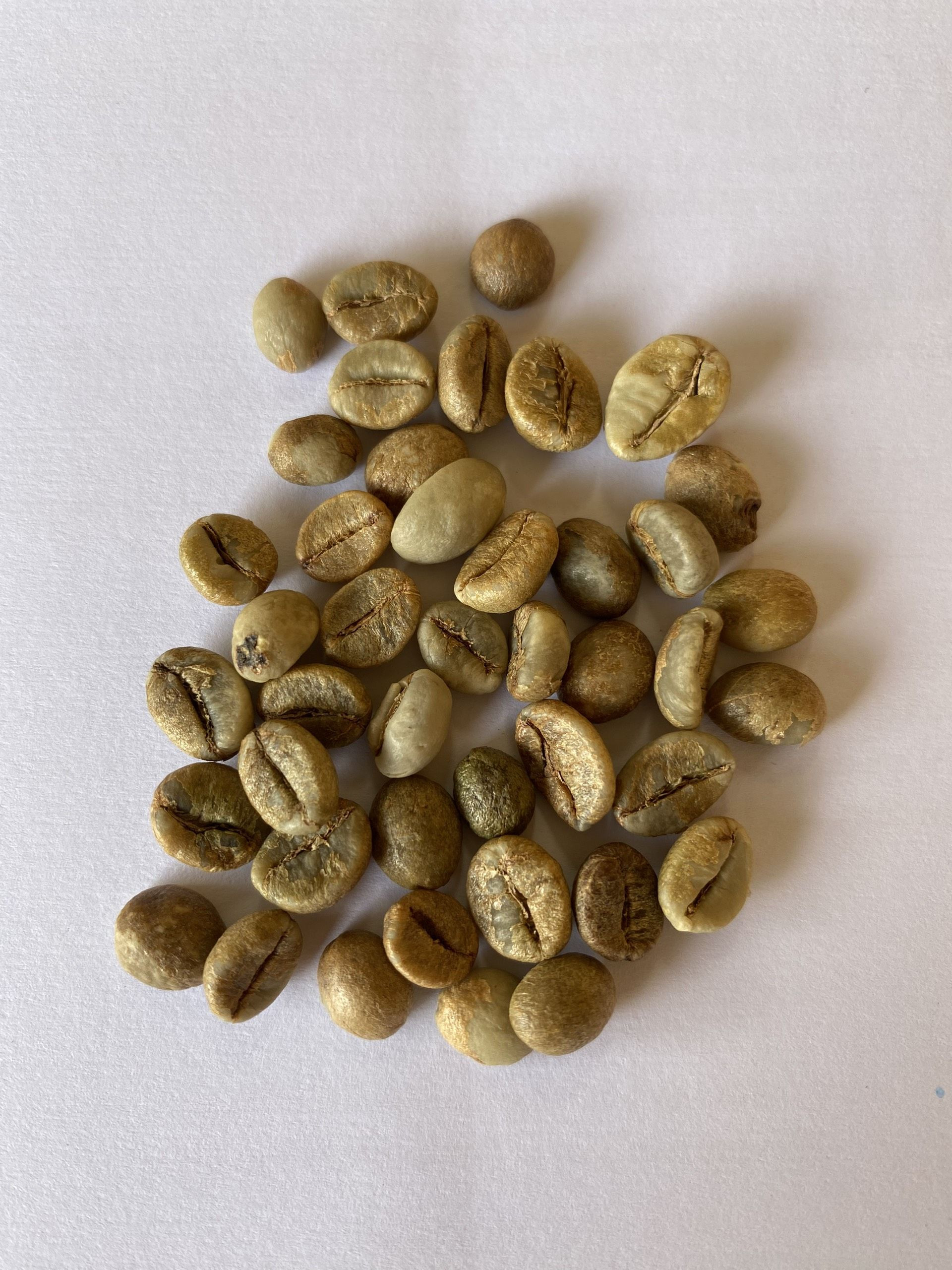 Buy Green Coffee Beans Fully Washed (color Sorter) Robusta S18 from