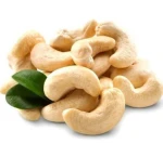 PROCESSED CASHEW NUTS