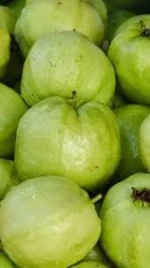 Guava