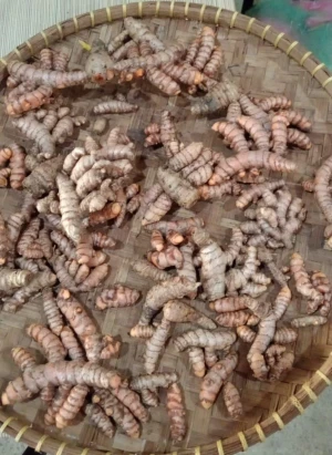 Turmeric
