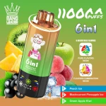Bangleader 110k puffs wholesale electronic cigarette vape puff bar 6 flavor in 1 vaper