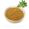 100% Pure Natural bacopa monnieri extract powder,The main benifits of Bacopa Extract