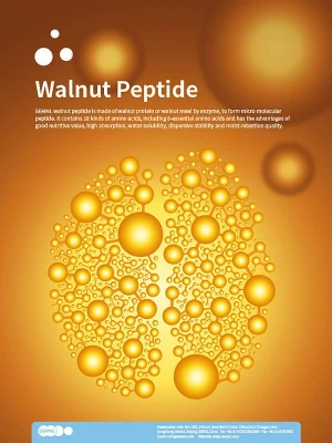 High Quality walnut peptide made of walnut protein﻿