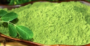 Moringa leaves powder