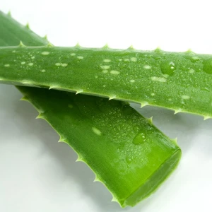 High Quality Aloe Vera Natural 100% Pure Extract Aloe Vera Gel Made in Vietnam