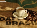 Green Coffee Beans