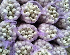 Factory Direct Selling Hot Sale Fresh Garlic