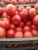 Import Fresh Tomatoes from Egypt