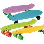 21 Inch Four Wheel Skateboard