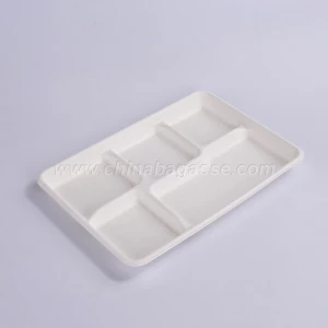 Disposable Biodegradable Bagasse 5 Compartments Lunch Tray