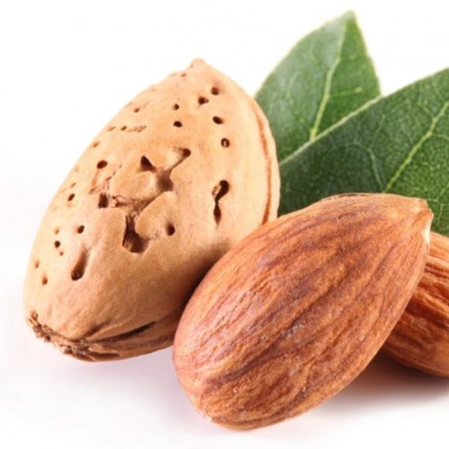 Available Almond Nuts/ Raw/ Roasted Almonds Nuts For Sale At Low Cost