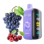 Wholesale Price Elf Bar Raya D3 25000 Puffs Grape Cherry 23ml Salt 850mAh Type C
