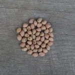 Premium Quality Black Eyed peas Bulk Wholesale Supply Fresh Crop Black Eyed peas Clean Sorted For Global Trade