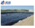 Import 1 mm thick hdpe geomembrane price/blue pond liner from China