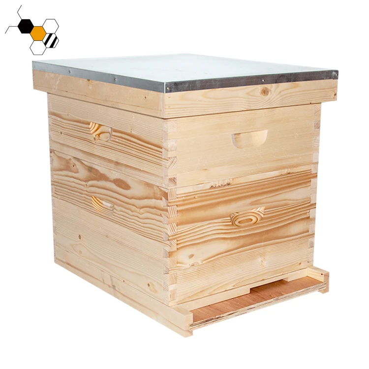 10 Frame Two Layer Langstroth honey Beehive