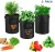Import 10 Gallon Customized Amazon Hot Seller Biodegradable Garden Potato Flower Vegetable Plant Felt Grow Bags Fabric Grow Bags from China