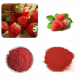 100% Natural Spray Dried Soluble Instant Strawberry Juice Powder