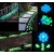 Import 100 PCS Glow in The Dark Garden Pebbles for Walkways &amp; Decoration and Plants Luminous Stones from China