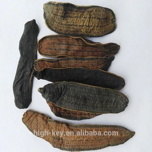 10018 Shuizhi Hot Selling Factory Dried Bloodsucker Dry Leech Of Traditional Chinese Medicine