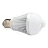 10W 20W 30W 50W 100W Acoustic Light Control LED Induction Lamp LED Floodlight