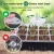 Import 12 Cells Plastic Seed Tray Germination Vegetable Nursery Plant Greenhouse Seedling Trays from China