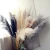 Import 150cm Decor Natural Dried Pampas Phragmites Communis Decoration Pampas Grass Flower Bunch for Home Living Room Wedding from China