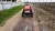 15hp mini compact small farming agricultural machinery  tractor for sale