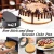 Import 16 Pieces Pressure Cooker Instant Pot Accessories Set Compatible with Instant Pot 6,8Qt from China