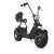 Import 18inch 2000W Trottinette Cheap Harley Electric Citycoco 2 Wheel Scooter Customized Best Enduro Scooter Electric Scooter from China