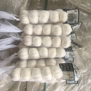 2018 crop pure white garlic