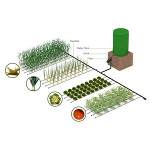 2020 Amazing Overground 500SQM Farm Automatic Plant Growing Agricultural Drip Irrigation System  for Sale