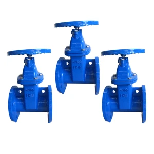 2021 hot selling Resilient Seated Non-Rising Flanged Gate Valve For Sale