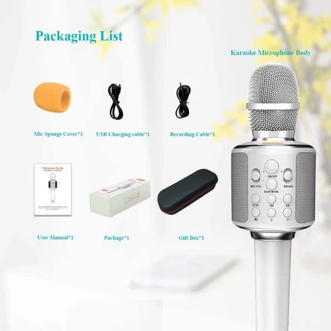 2021 new hot sell leather handheld  Wireless Karaoke Microphone Speaker Support USB/TF CARD/FM RADIO