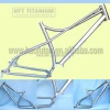 29er titanium fat bike frame with Pinion System