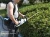 Import 58V Cordless Hedge Trimmer from China