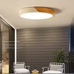 5cm Ultra Thin Remote Multicolor Ceiling Lamp Surface Mounted Metal Round Led Ceiling Light with CE