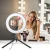 Import 6 8 10 12 Inch tiktok video Live Broadcast LED Ring Light With Tripod Stand Cell Phone Holder from China