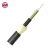 Import ADSS All Dielectric Self-supporting Aerial Fiber Optic Cable 12 24 Core Single Mode Cable from China