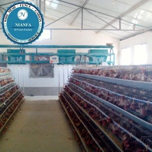Anti rust Metal quail,for Poultry Use and A-type Type battery cages(Guangzhou Factory)