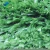 Import artificial grass hebei soccer synthetic grass 40mm artificial turf from China