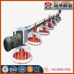 auger feed system for poultry in animal feeders